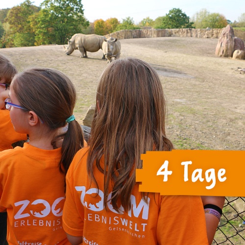 Kinder in orangen T-Shirts mit dem Logo der ZOOM Erlebniswelt blicken auf zwei Nashörner auf der Grassavanne