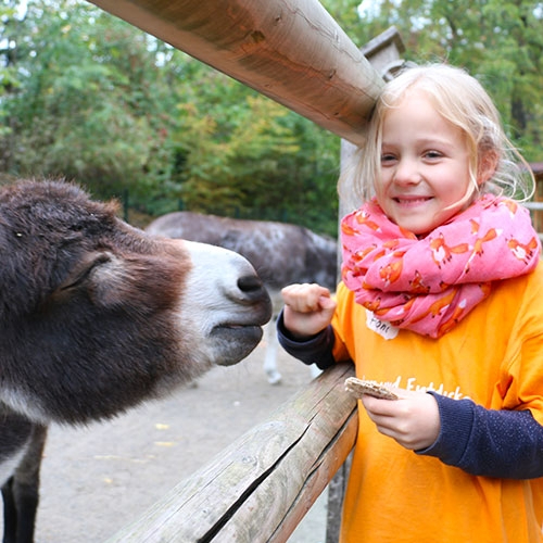 Ferien im Zoo 5 Tage Gallery 51