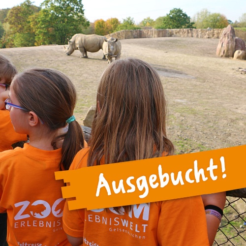 Ferien im Zoo ist ausgebucht