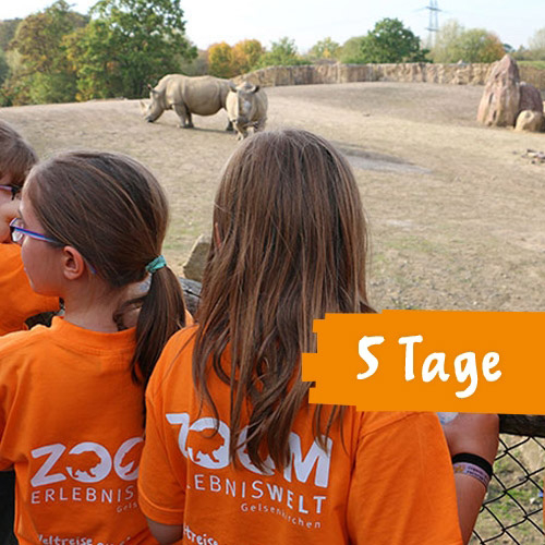 Ferien im Zoo - 5 Tage