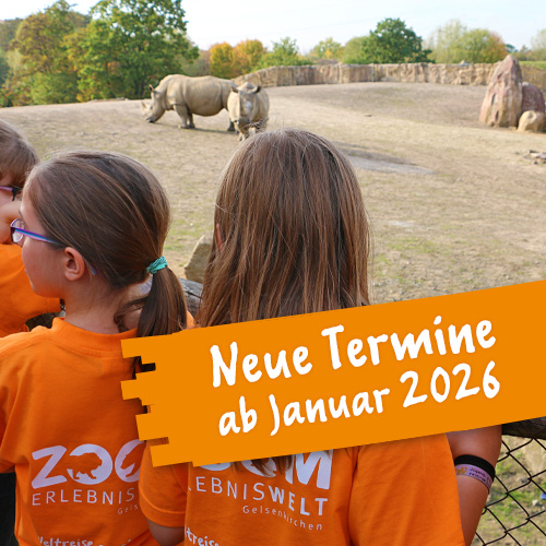Ferien im Zoo - 5 Tage