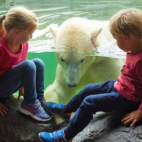 Alaska Entdeckergeburtstag Kinder