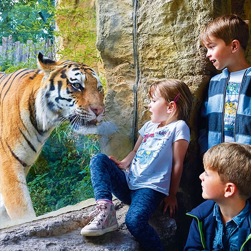 Asien Entdeckergeburtstag Kinder